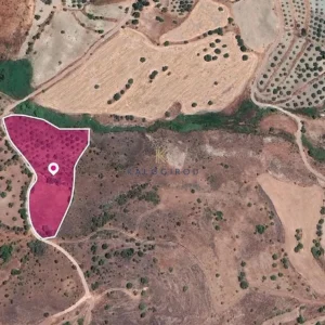 7,535m² Plot for Sale in Episkopi Pafou, Paphos District