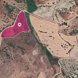 7,535m² Plot for Sale in Episkopi Pafou, Paphos District