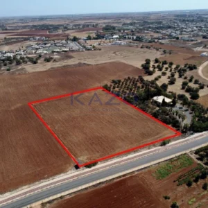 8,802m² Plot for Sale in Avgorou, Famagusta District