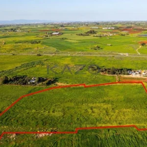 13,499m² Plot for Sale in Avgorou, Famagusta District