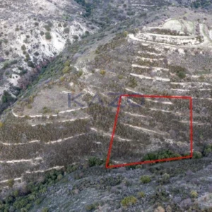 2,342m² Plot for Sale in Dora, Limassol District