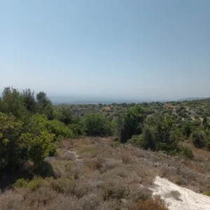 987m² Plot for Sale in Tala, Paphos District