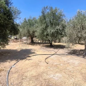 600m² Plot for Sale in Erimi, Limassol District