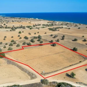 7,024m² Plot for Sale in Agios Theodoros, Larnaca District