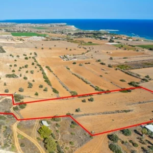 17,057m² Plot for Sale in Agios Theodoros, Larnaca District