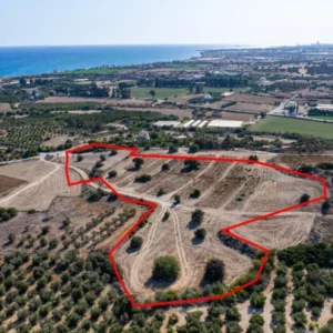 16,389m² Plot for Sale in Agios Theodoros, Larnaca District