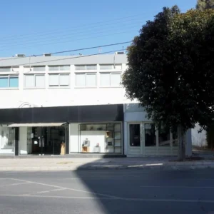 559m² Building for Sale in Agioi Omologites, Nicosia District