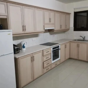 2 Bedroom Apartment for Rent in Tersefanou, Larnaca District