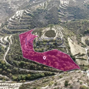 16,054m² Plot for Sale in Koili, Paphos District