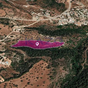 10,201m² Plot for Sale in Neo Chorio Pafou, Paphos District