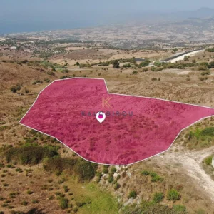 13,378m² Plot for Sale in Drouseia, Paphos District