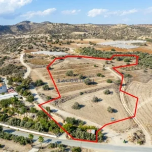 16,389m² Plot for Sale in Agios Theodoros, Larnaca District