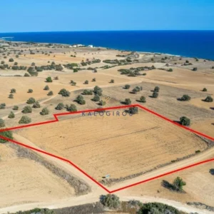 7,024m² Plot for Sale in Agios Theodoros, Larnaca District