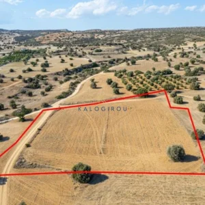 7,024m² Plot for Sale in Agios Theodoros, Larnaca District