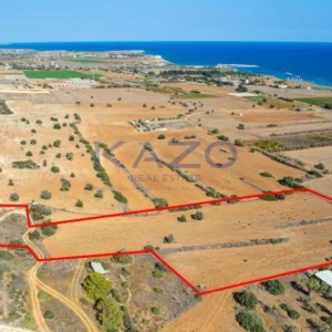 17,057m² Plot for Sale in Agios Theodoros, Larnaca District