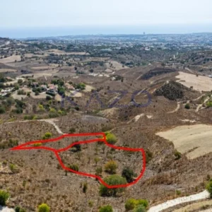 6,820m² Plot for Sale in Armou, Paphos District