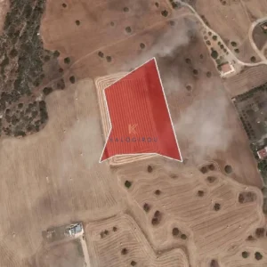 7,024m² Plot for Sale in Agios Theodoros, Larnaca District