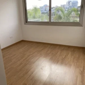 1 Bedroom Apartment for Rent in Limassol District