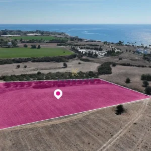 8,027m² Plot for Sale in Agios Theodoros, Larnaca District