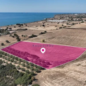 8,027m² Plot for Sale in Agios Theodoros, Larnaca District