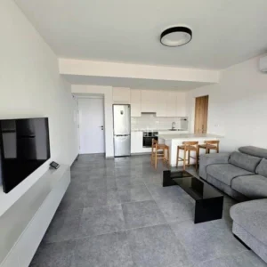 1 Bedroom Apartment for Rent in Aglantzia, Nicosia District