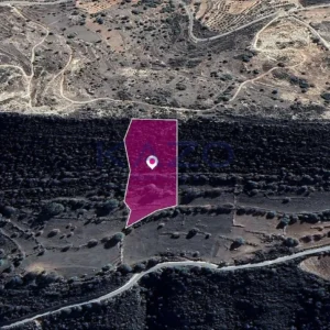 15,337m² Plot for Sale in Pachna, Limassol District