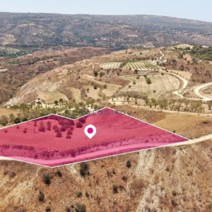 8,027m² Plot for Sale in Simou, Paphos District