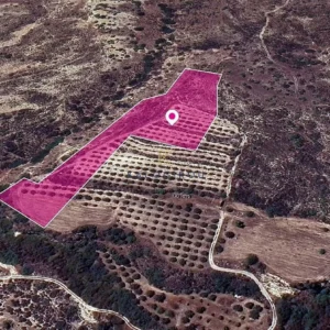 13,043m² Plot for Sale in Skarinou, Larnaca District