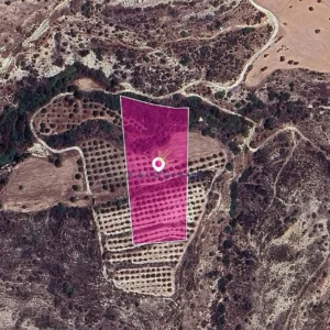 11,037m² Plot for Sale in Skarinou, Larnaca District