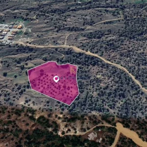 10,034m² Plot for Sale in Lythrodontas, Nicosia District