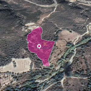 12,710m² Plot for Sale in Arminou, Paphos District