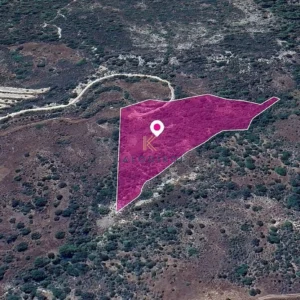 17,726m² Plot for Sale in Prastio Pafou, Paphos District