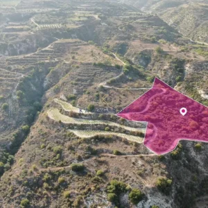 25,084m² Plot for Sale in Theletra, Paphos District