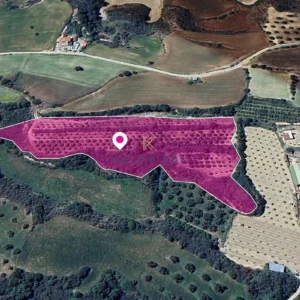 8,559m² Plot for Sale in Goudi, Paphos District