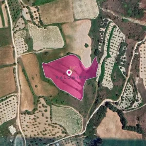 7,637m² Plot for Sale in Theletra, Paphos District