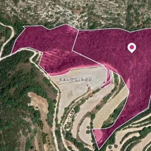 32,657m² Plot for Sale in Theletra, Paphos District