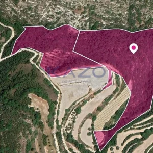 32,657m² Plot for Sale in Theletra, Paphos District