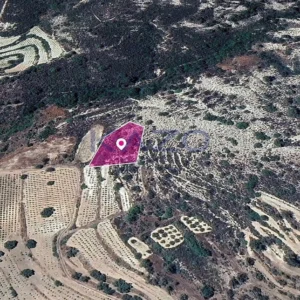 2,007m² Plot for Sale in Agios Mamas, Limassol District