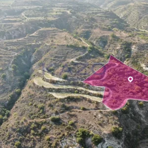 25,084m² Plot for Sale in Theletra, Paphos District