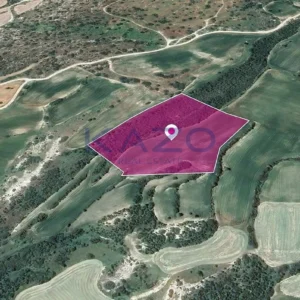 21,071m² Plot for Sale in Agios Theodoros, Larnaca District