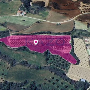 8,559m² Plot for Sale in Goudi, Paphos District