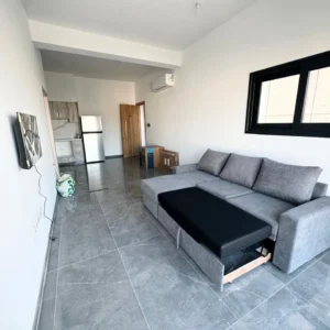 1 Bedroom Apartment for Rent in Limassol District