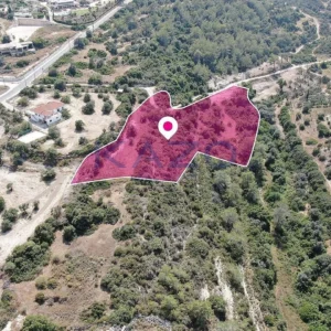 9,700m² Plot for Sale in Neo Chorio Pafou, Paphos District