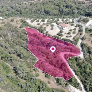 9,700m² Plot for Sale in Neo Chorio Pafou, Paphos District