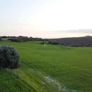 5,352m² Plot for Sale in Agios Theodoros, Larnaca District