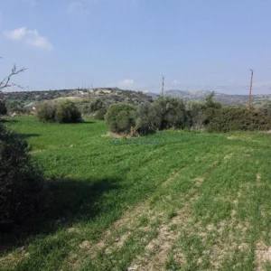 2,174m² Plot for Sale in Agios Theodoros, Larnaca District