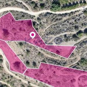 12,942m² Plot for Sale in Dierona, Limassol District