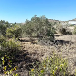 1,605m² Plot for Sale in Moni, Limassol District