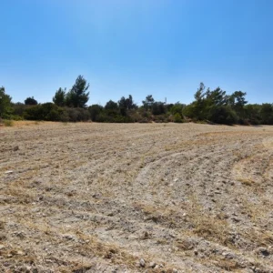 5,352m² Plot for Sale in Alethriko, Larnaca District