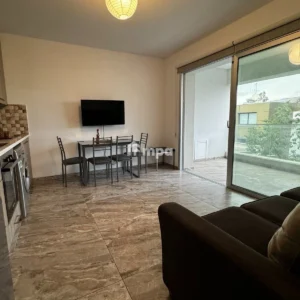 2 Bedroom Apartment for Rent in Agios Dometios, Nicosia District